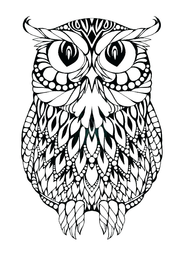 736x1013 Cartoon Color Pages Cute Cartoon Owl Coloring Pages Owl Color