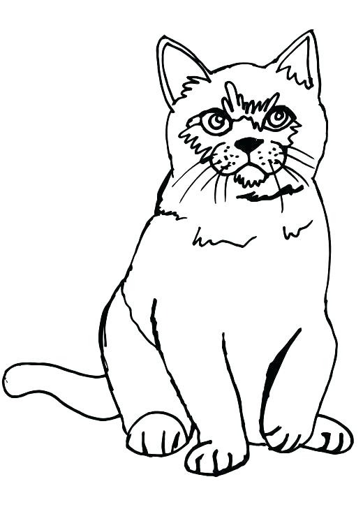 520x736 Coloring Pages Dogs And Cats Cute Cat Coloring Pages Free