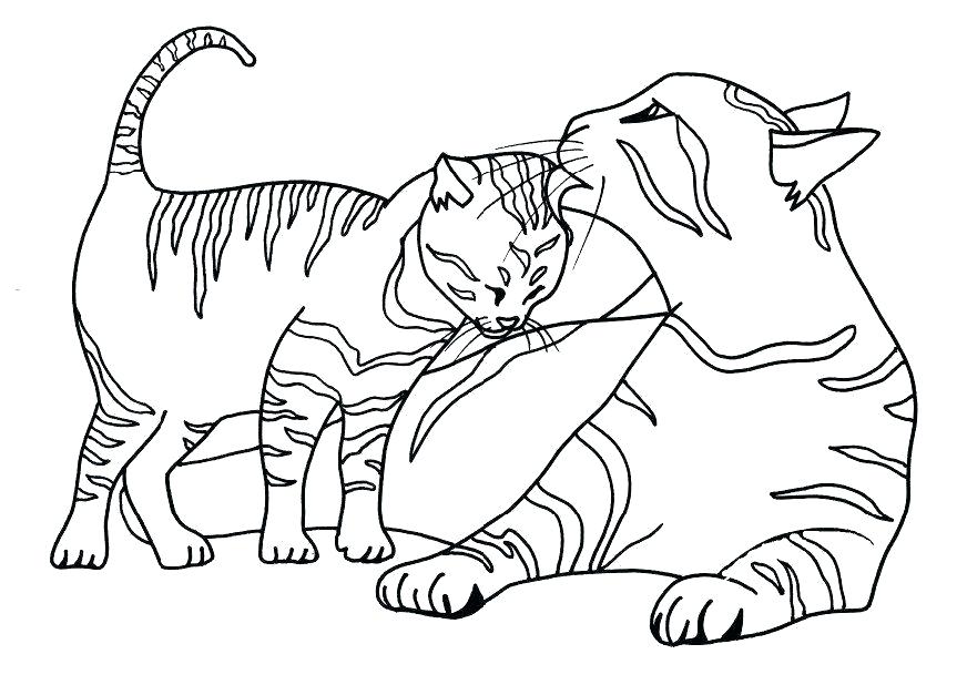 872x618 Cute Cats Coloring Pages Cat Packed With To Print Free Coloring