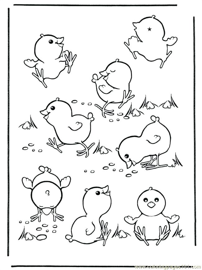 650x866 Chick Coloring Page Baby Chick Coloring Page Chicks Coloring Pages