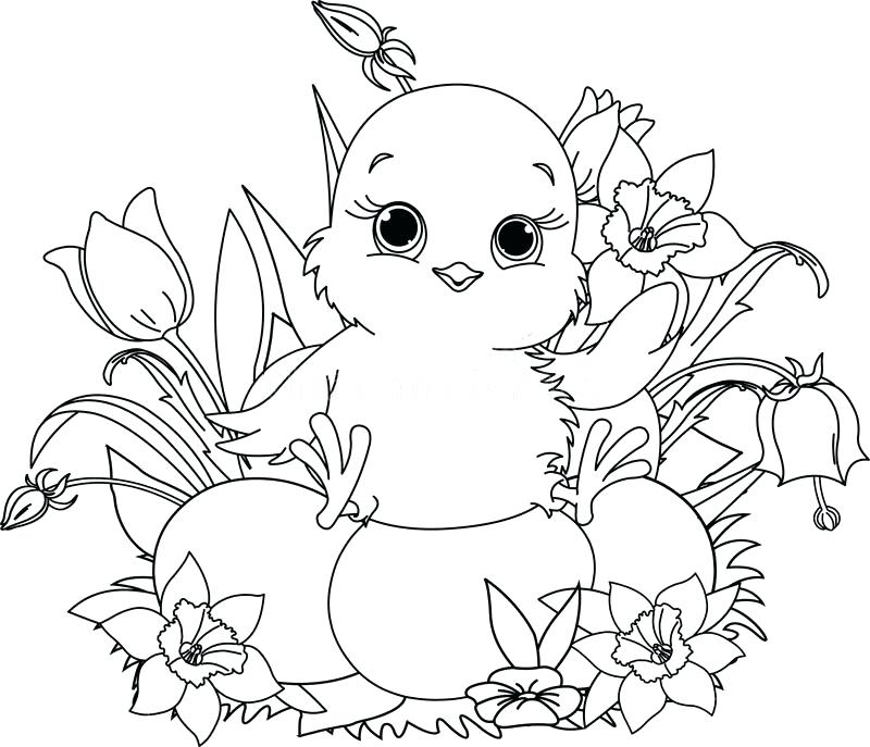 800x687 Easter Baby Chick Coloring Pages Kids Coloring Chick Coloring
