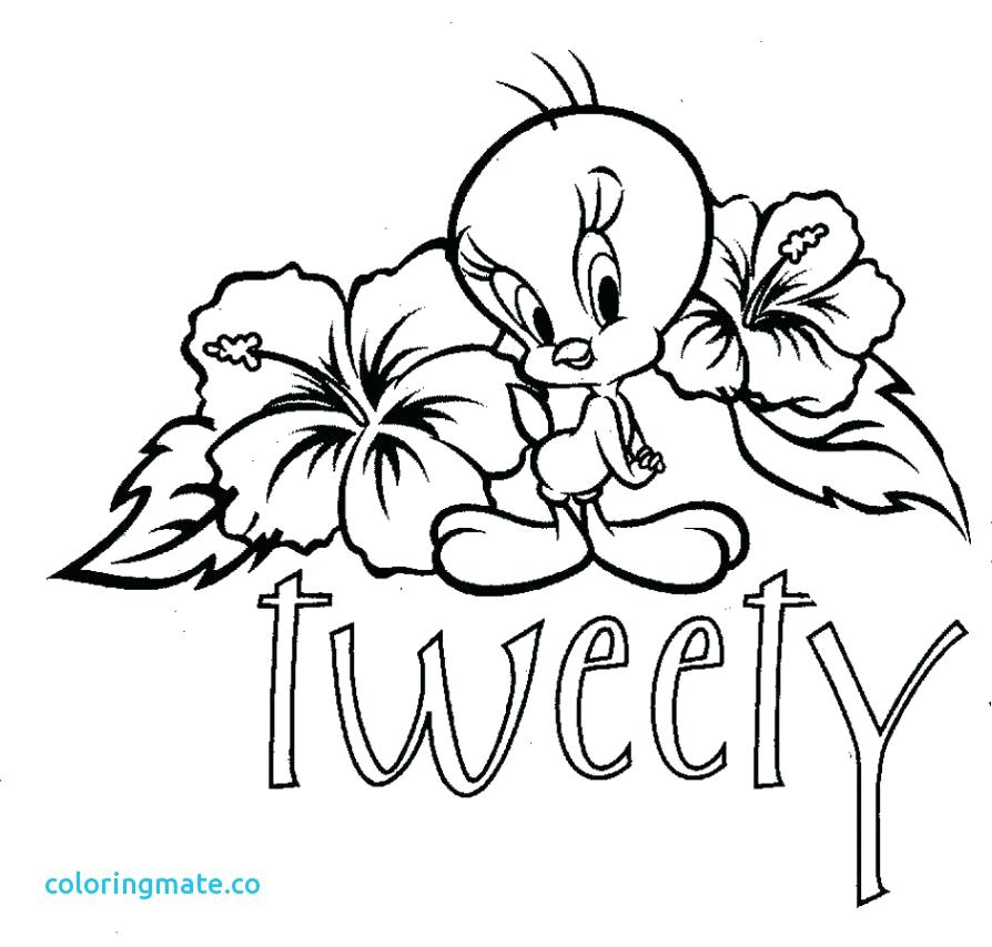 894x854 Cute Coloring Pages For Teenagers Cute Coloring Book Pages Unique