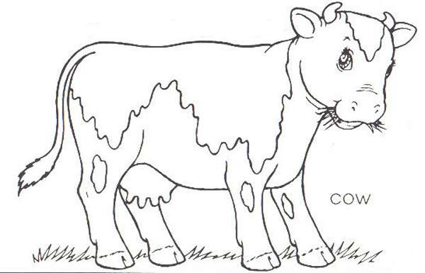 600x385 Cow Coloring Pages