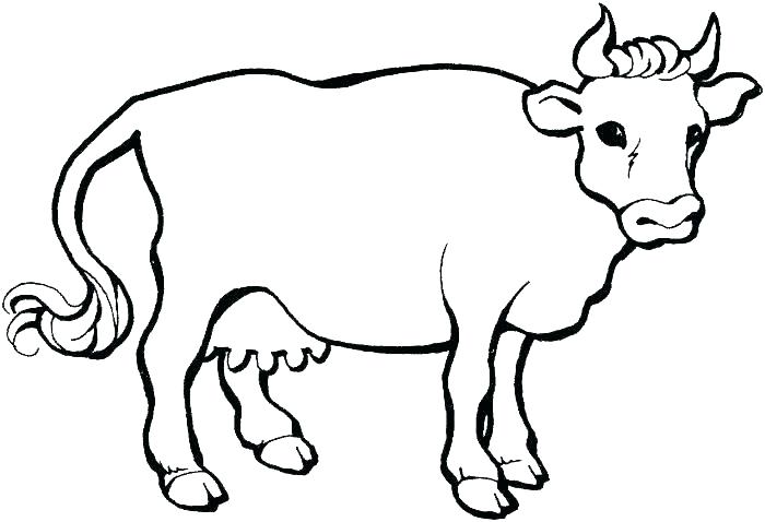 Cute Cow Coloring Pages at GetDrawings | Free download