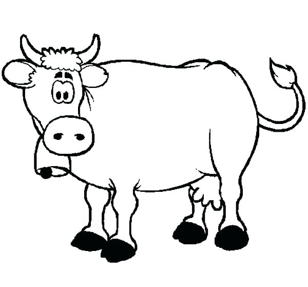 600x558 Coloring Pages Cow Coloring Pages Confused Dairy Cow Coloring