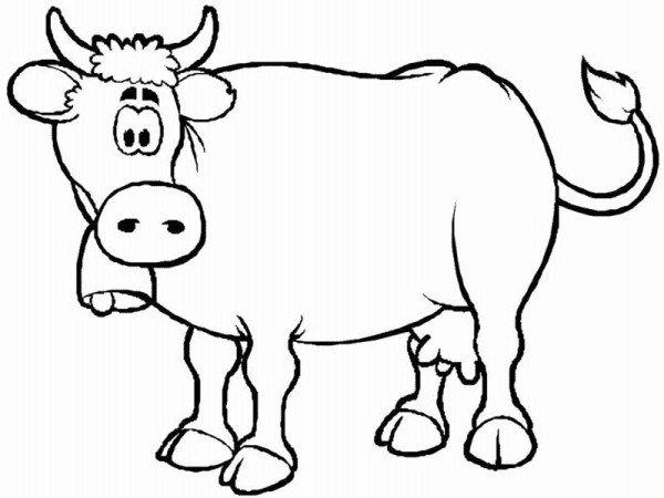 600x450 Cow Coloring Page
