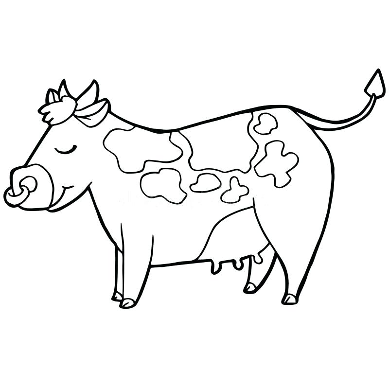 800x800 Cow Coloring Page Image Detail For Coloring Page With Cute Cow Cow