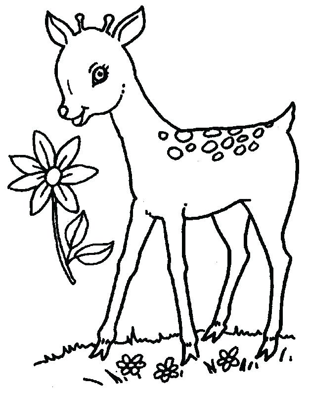 625x794 Baby Deer Coloring Pages Deer Hunting Coloring Pages Baby Deer