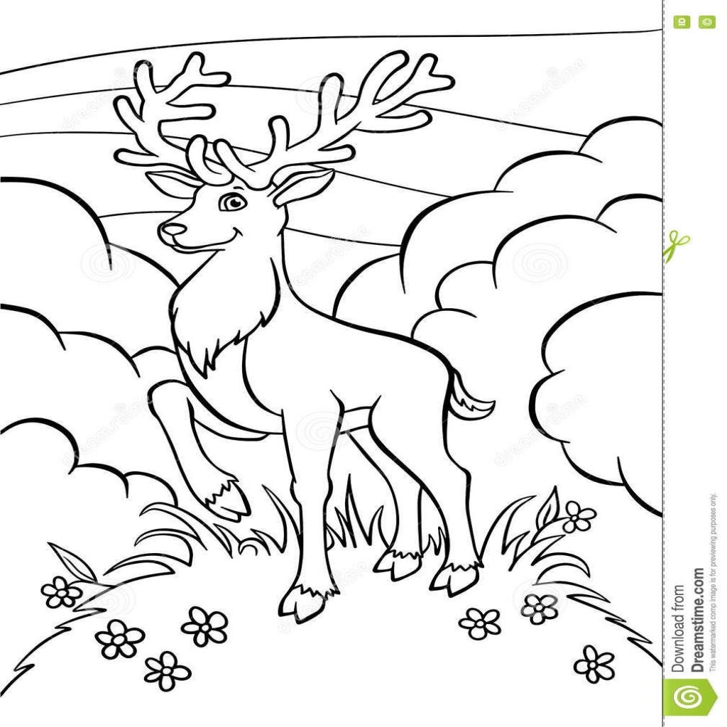 1024x1024 Coloring Pages Animals Little Cute Deer Stock Vector Throughout