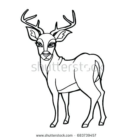 450x470 Deer Coloring Page Deer Coloring Page Free John Deere Coloring