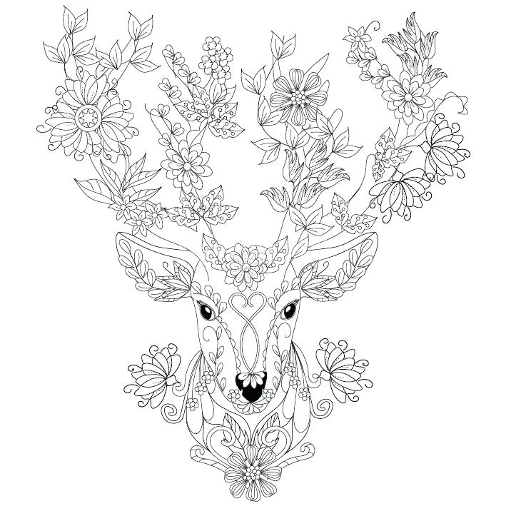 709x709 Deer Printable Coloring Pages Deer Coloring Picture Cartoon Cute