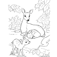 230x230 Top Deer Coloring Pages For Your Little Ones