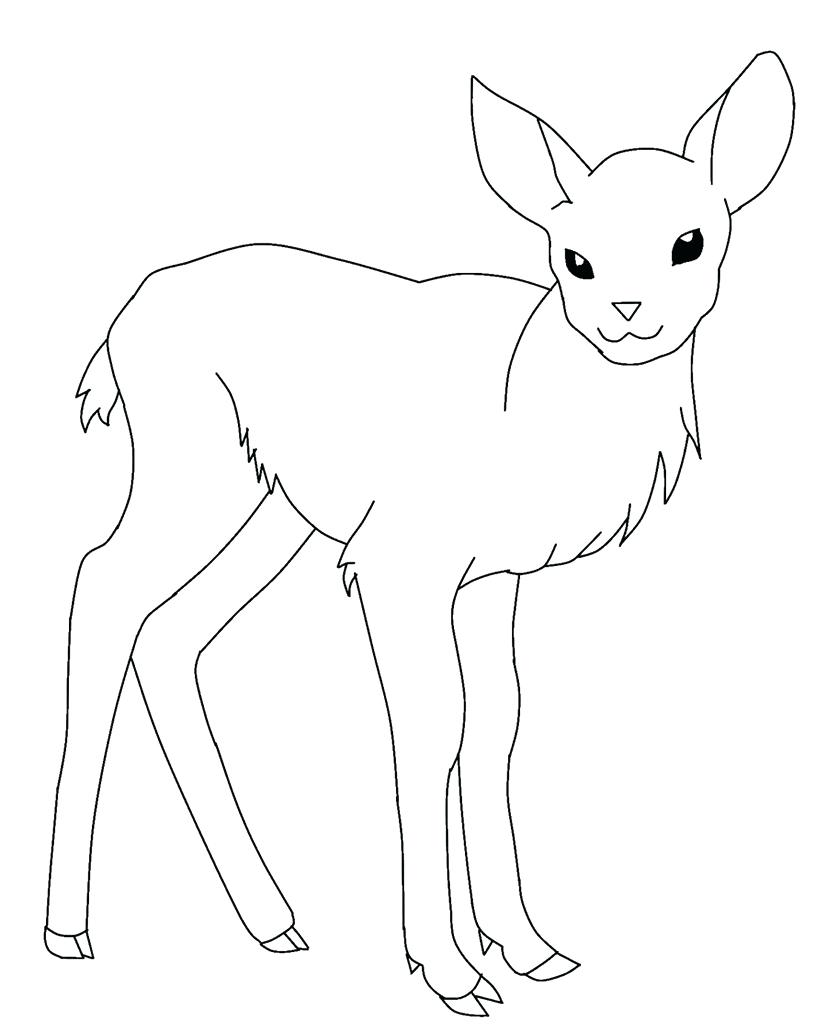 827x1032 Coloring Pages Deer Coloring Pages Baby Sheets Deer Coloring
