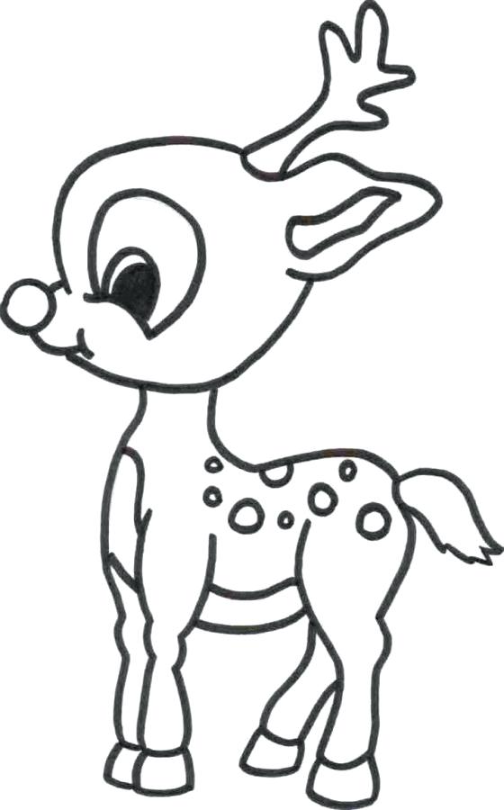 560x900 Baby Deer Coloring Pages Cute Baby Reindeer Coloring Page Baby