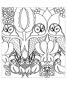 234x300 Owls