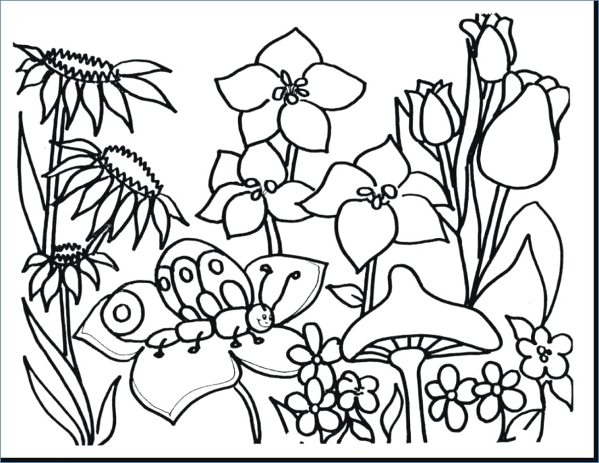 863x667 Butterfly Flower Coloring Pages Cute
