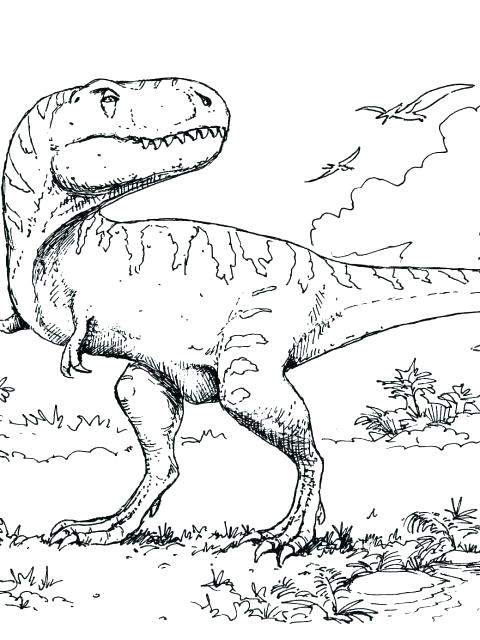 480x640 Dinosaur King Coloring Pages Dinosaur Coloring Pages Free
