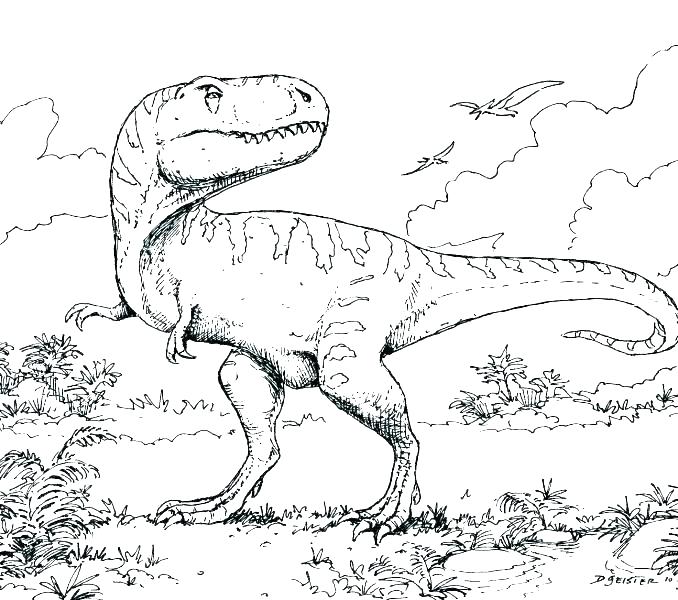 678x600 Dinosaurs Coloring Page Coloring Easy Dinosaur Pages For In Sweet