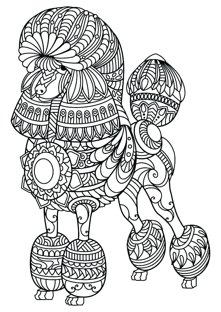 736x1040 Free Printable Dog And Cat Coloring Pages Drawing Rabbit Bird Cats