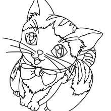 220x220 Pet Coloring Pages