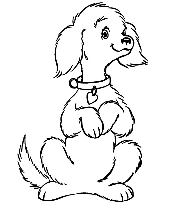 712x875 Free Printable Dog Coloring Pages For Kids