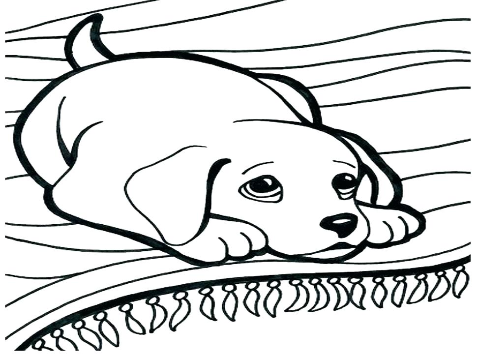 970x728 Cute Printable Dog Pictures Printable Dog Coloring Pages Free Dog