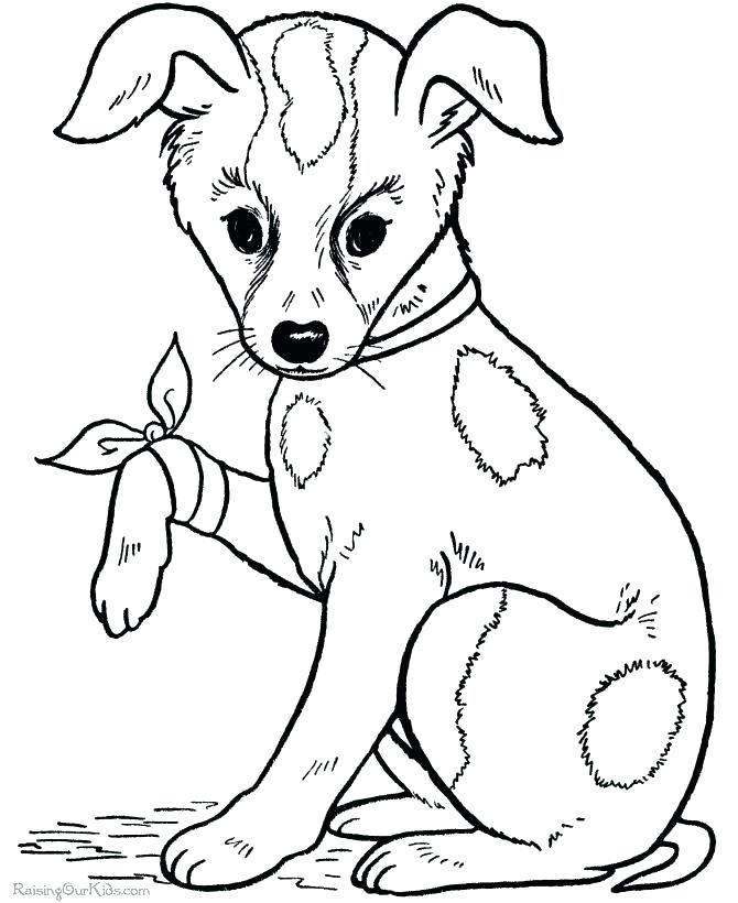 670x820 Picture Of A Cute Dog Coloring Page Color Dogs Picture Of A Cute