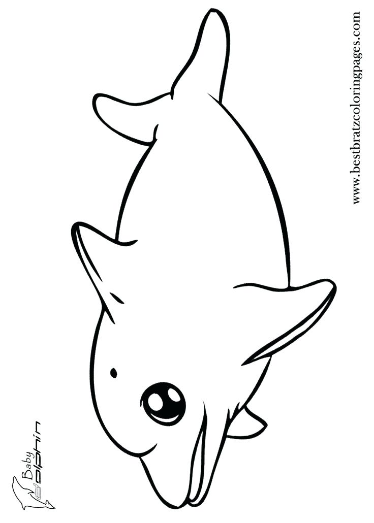 736x1030 Cute Dolphin Coloring Pages Baby Colouring Coloring Collection