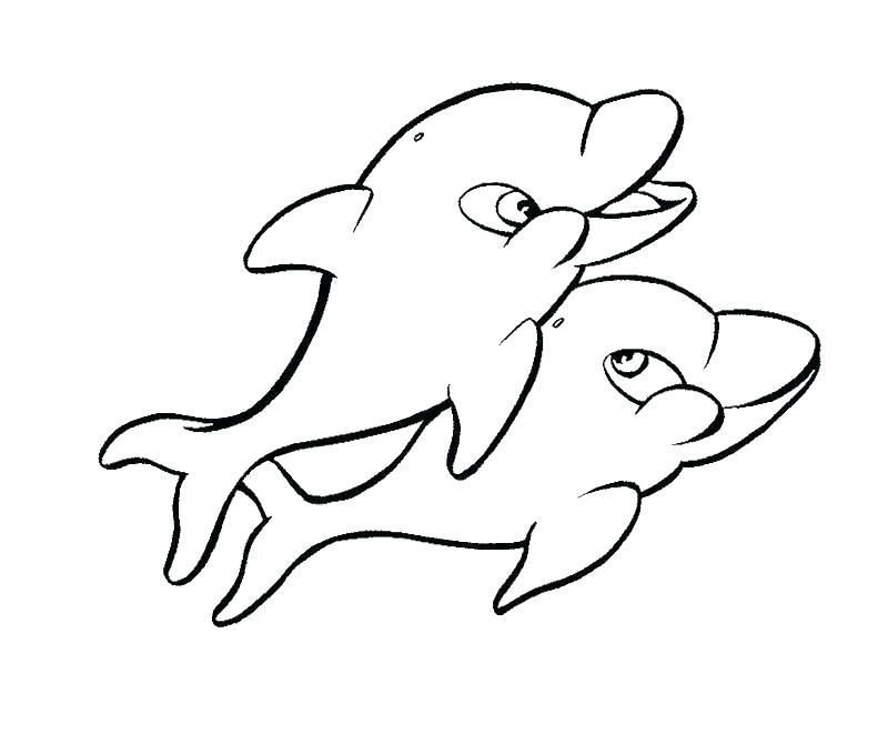800x661 Baby Dolphin Coloring Pages Dolphin Tale Coloring Pages Coloring