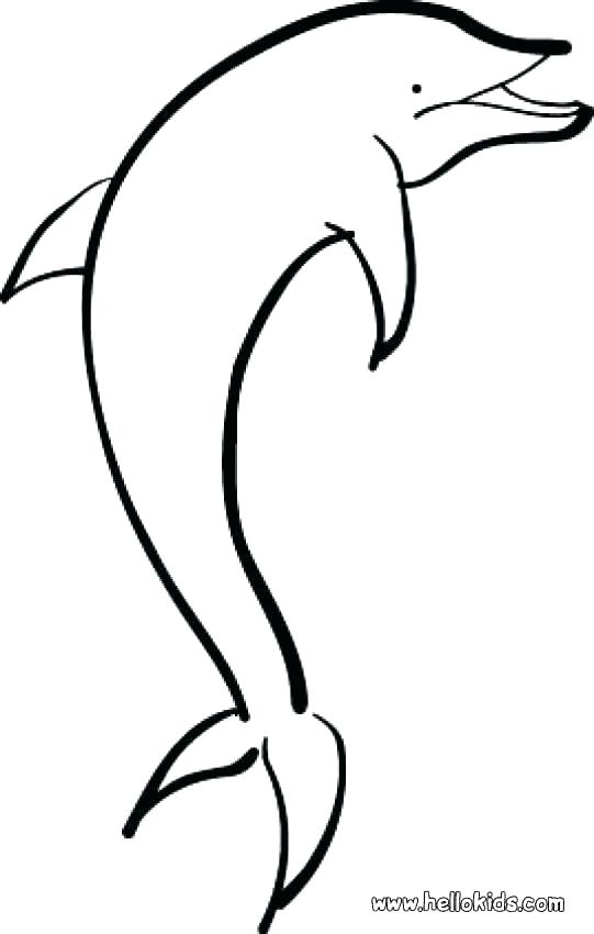 541x850 Cute Dolphin Coloring Sheets Baby Pages Of Dolphins If You Like