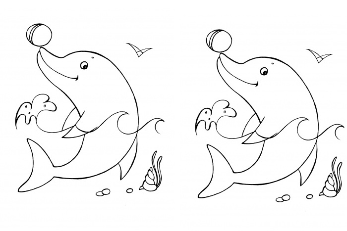 700x467 Dolphin Template