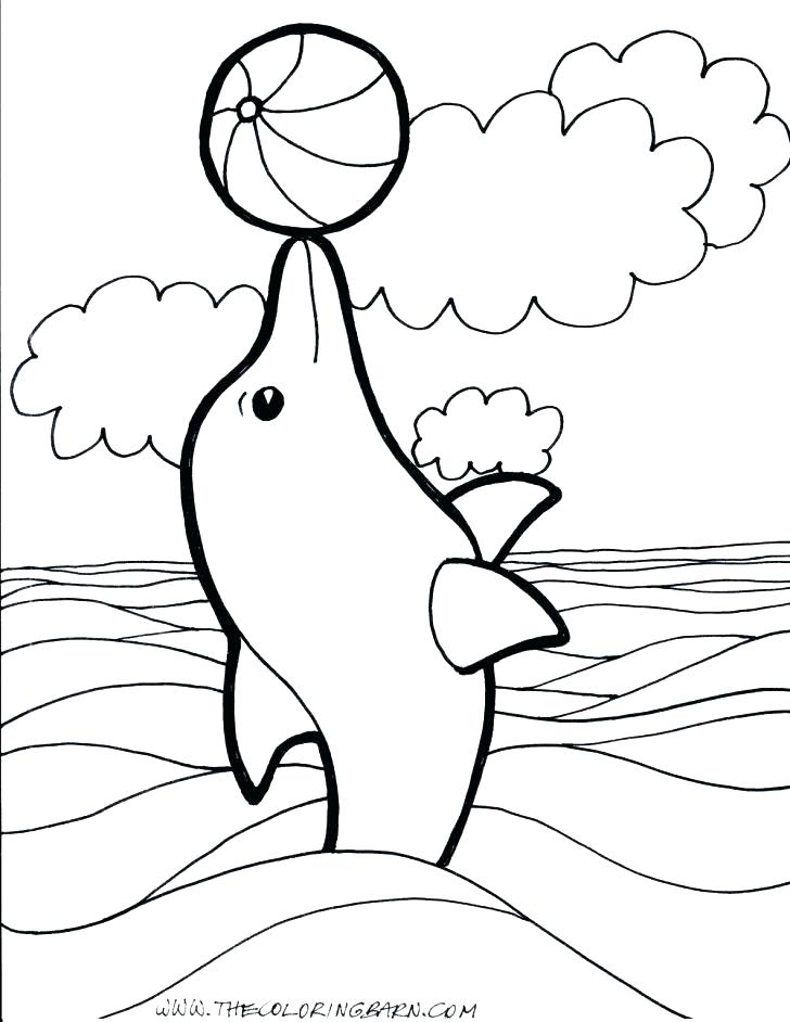 728x942 Ideal Cute Dolphin Coloring Pages Best Of For To Print Dolphins