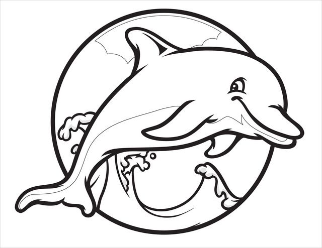 640x494 Cute Dolphin Coloring Page Free Printable Pages Best Of Dolphins