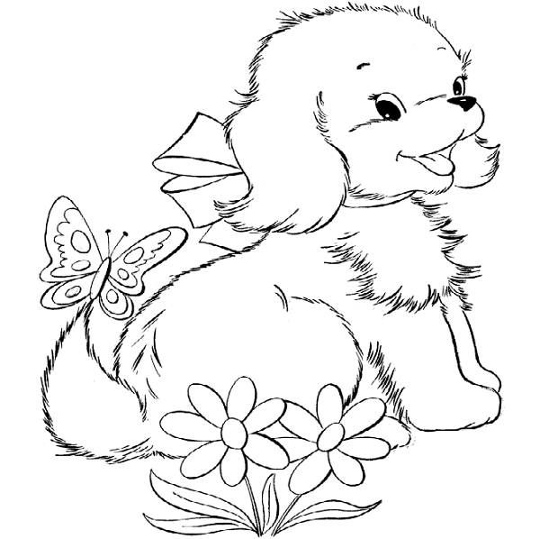 600x598 Cute Dolphin Coloring Pages Cute Puppy Coloring Pages For Kids