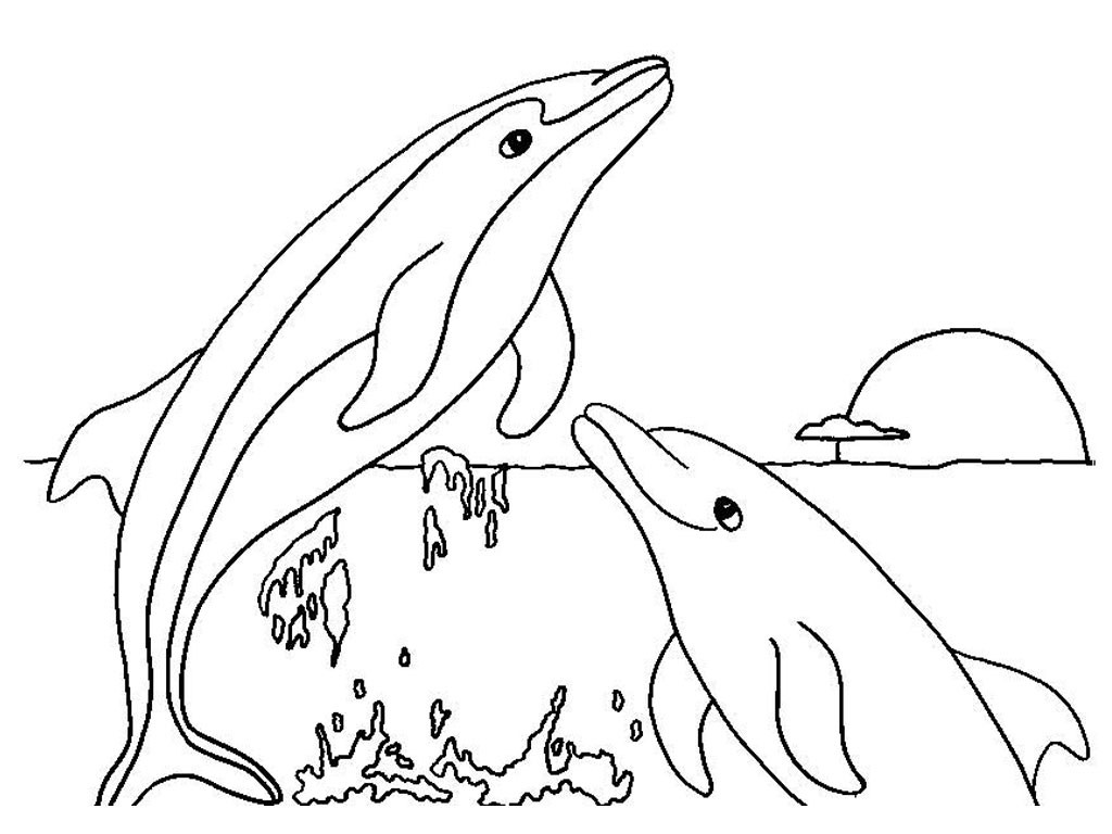 1024x768 Cute Dolphin Coloring Pages Acpra