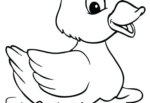 478x329 Donald Duck Coloring Page Duck Coloring Pages Free Cute Pictures