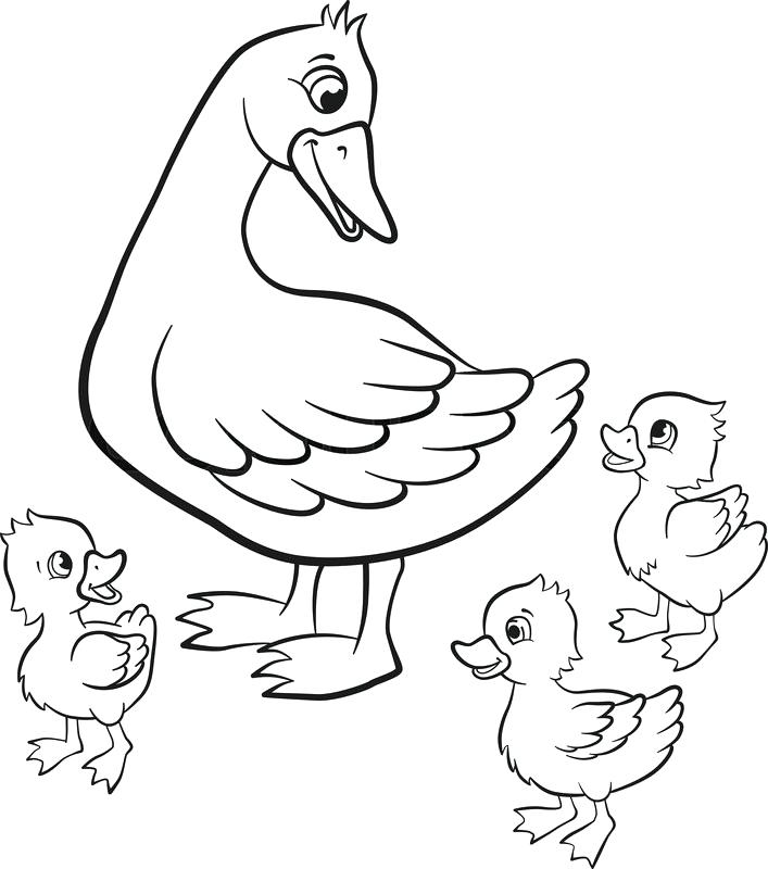 707x800 Duck Color Page Duck Color Page Duck Coloring Pages Duck Dynasty