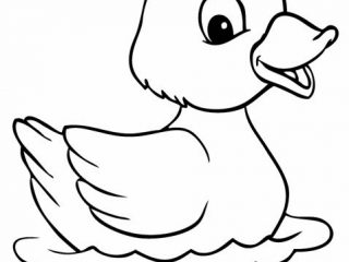 320x240 Duck Color Sheet Cute Duck Coloring Sheets Color Bros Coloring