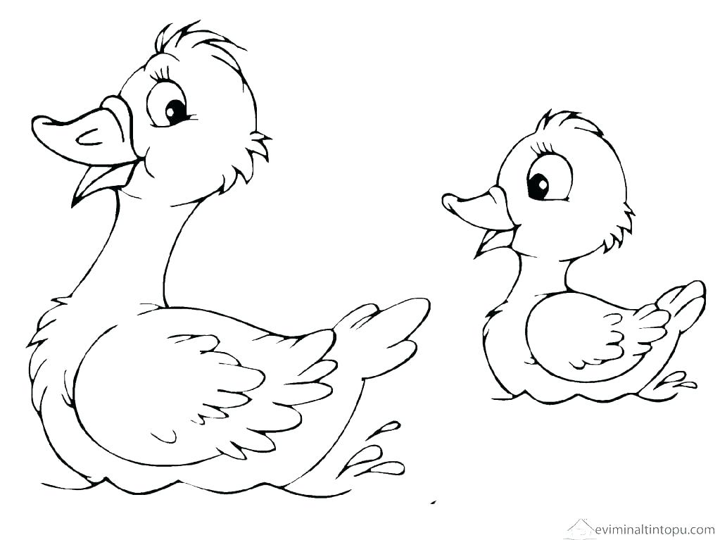 1023x767 Ducks Coloring Page Cute Duck Coloring Pages Duck Pictures