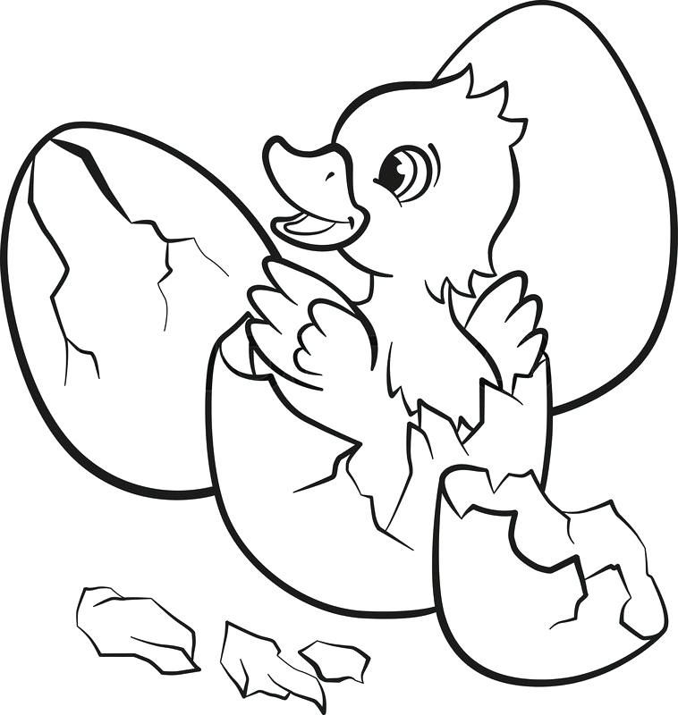 758x800 Coloring Pages Of Cute Ducks