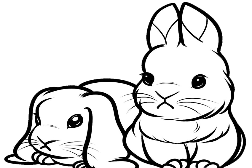850x567 Color In A Bunny Coloring Page In Stead Of Buying Some Pets