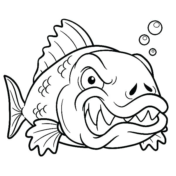 600x600 Fish Color Pages Cute Fish Coloring Pages Fish Color Page Angry
