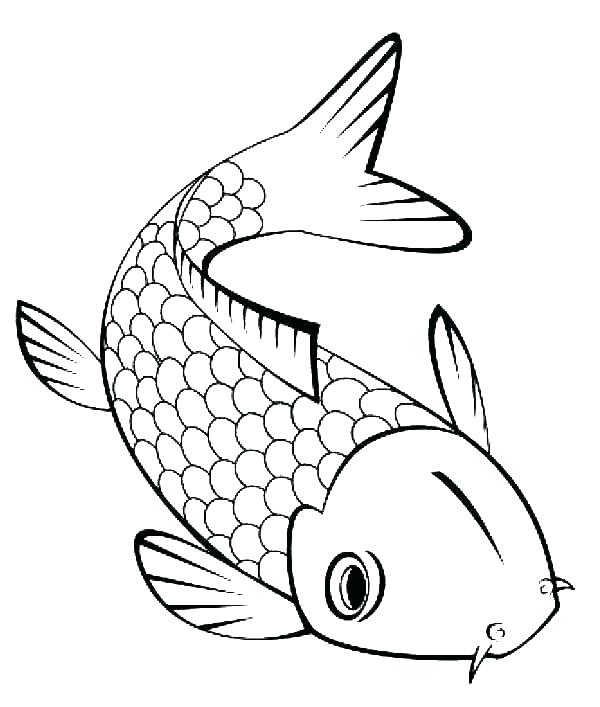 600x707 Fish Color Sheet