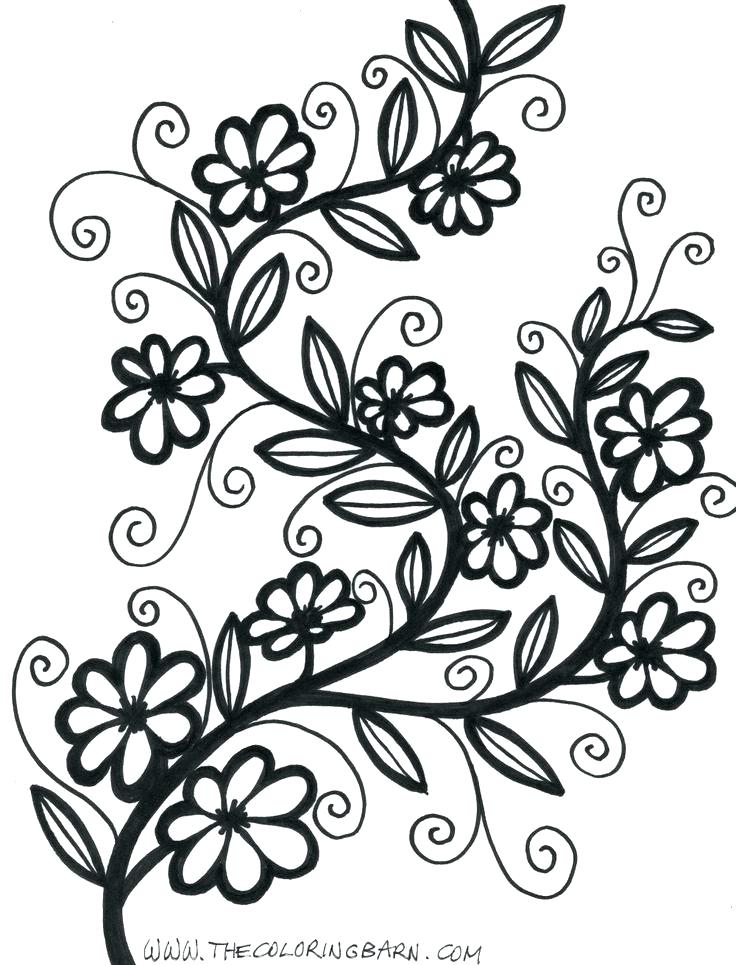 736x965 Pretty Flower Coloring Pages Pretty Flower Coloring Pages