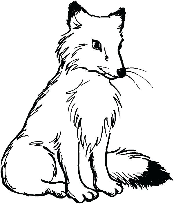 600x701 Coloring Pages Of Foxes Fox Coloring Pages Coloring Pages Fox