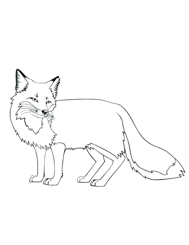 736x952 Coloring Pages Of Foxes Cute Baby Fox Coloring Page Cute Baby Fox