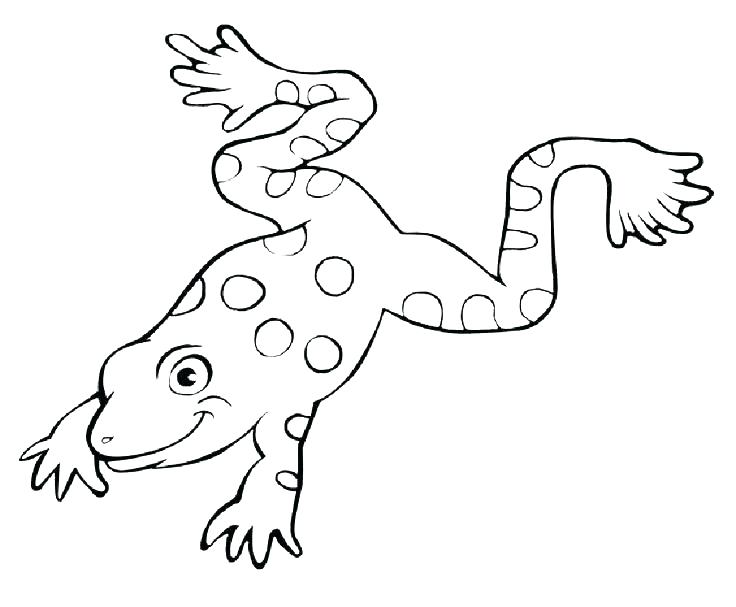 736x607 Frog Coloring Page Frog Coloring Page Printable