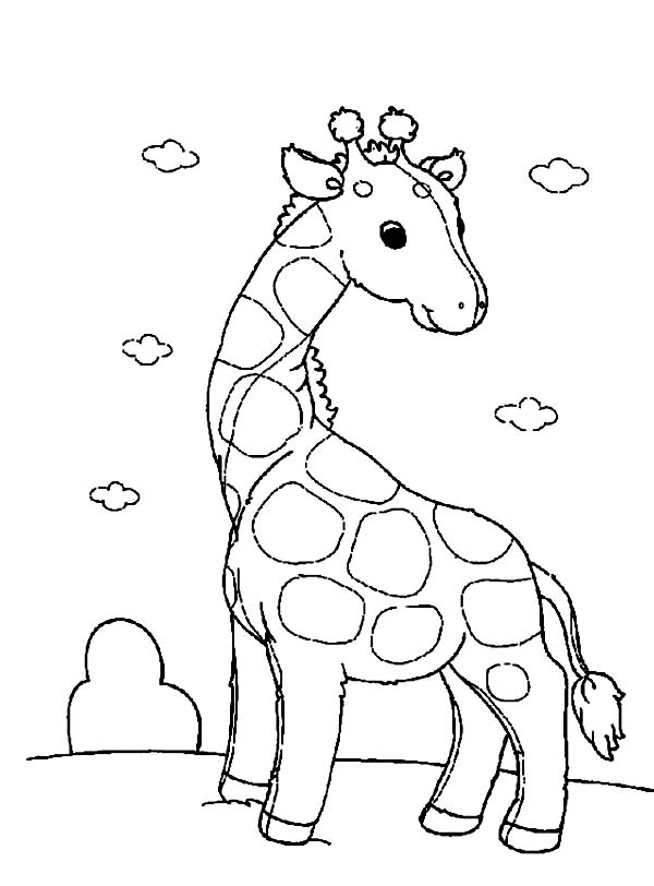 600x812 Funny Giraffe Coloring Page