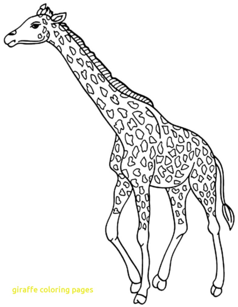783x1009 Giraffe Coloring Page Giraffes Pages Free Ribsvigyapan Cute