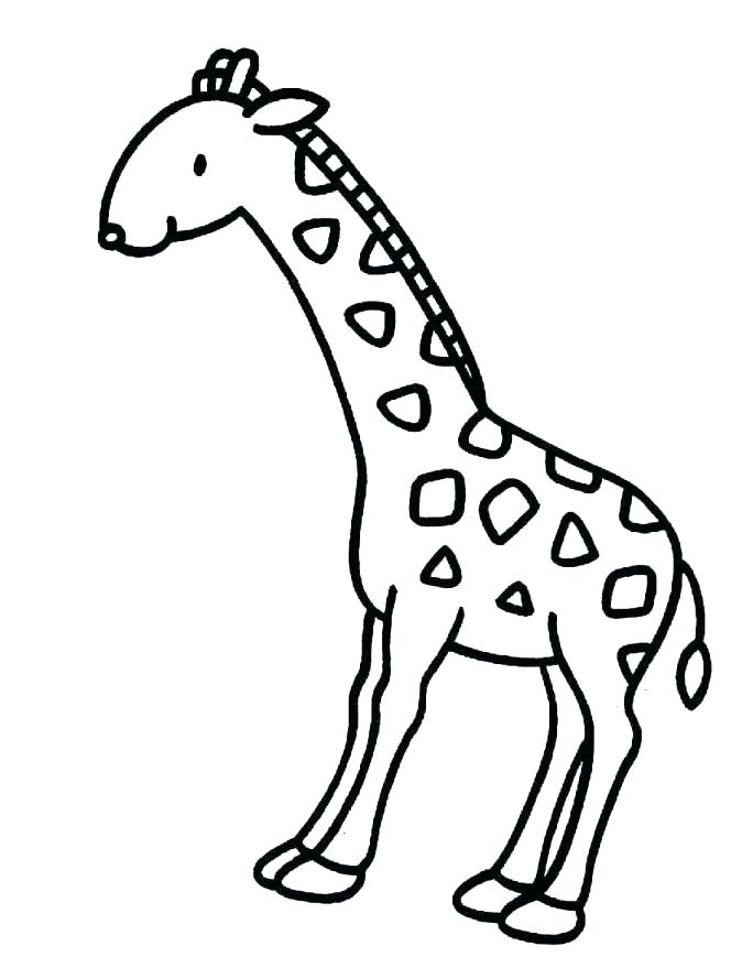 674x879 Coloring Pages Giraffe Coloring Page Giraffe Coloring Picture